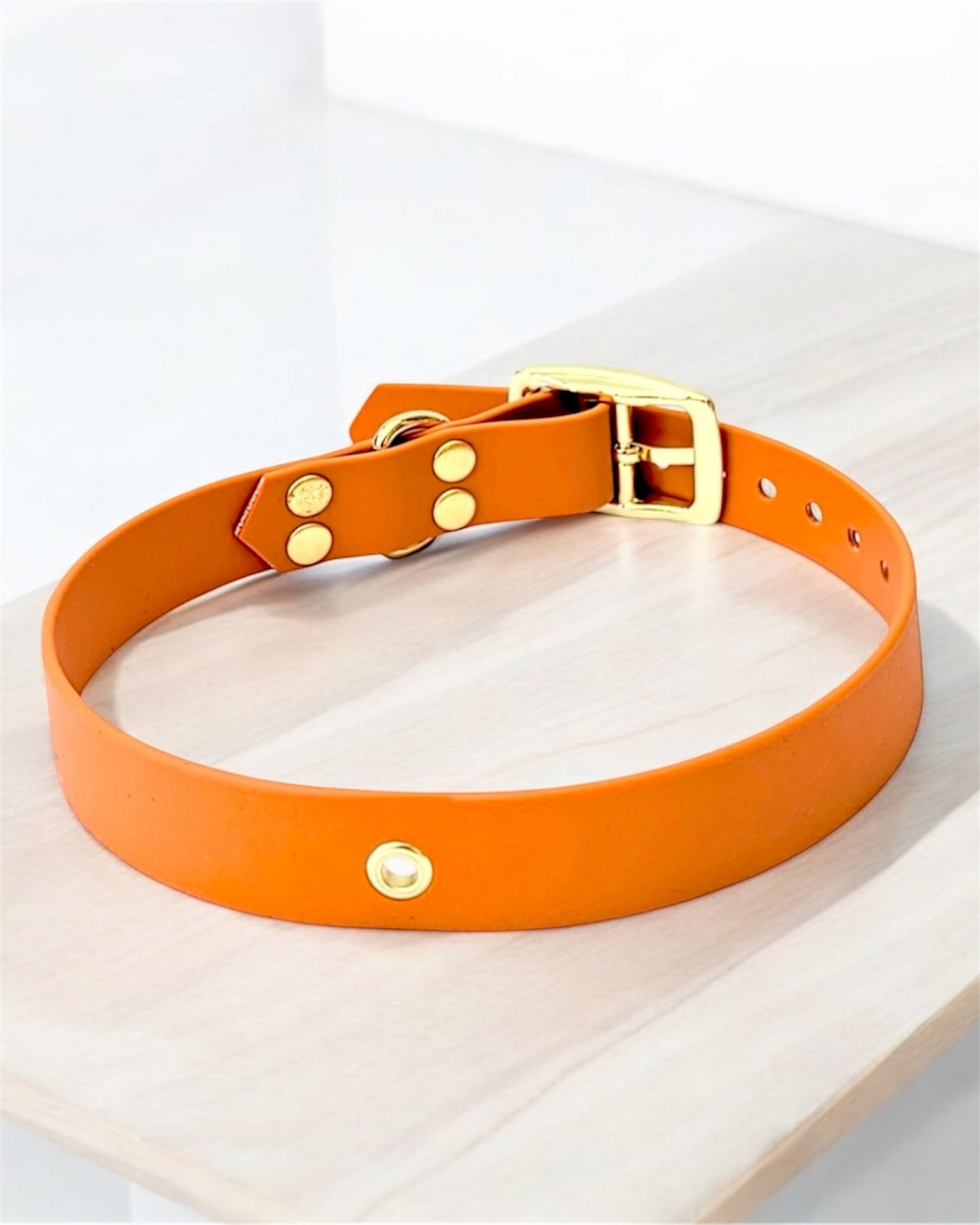 Collier Biothane® à boucle ajustable