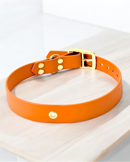 Collier Biothane® à boucle ajustable