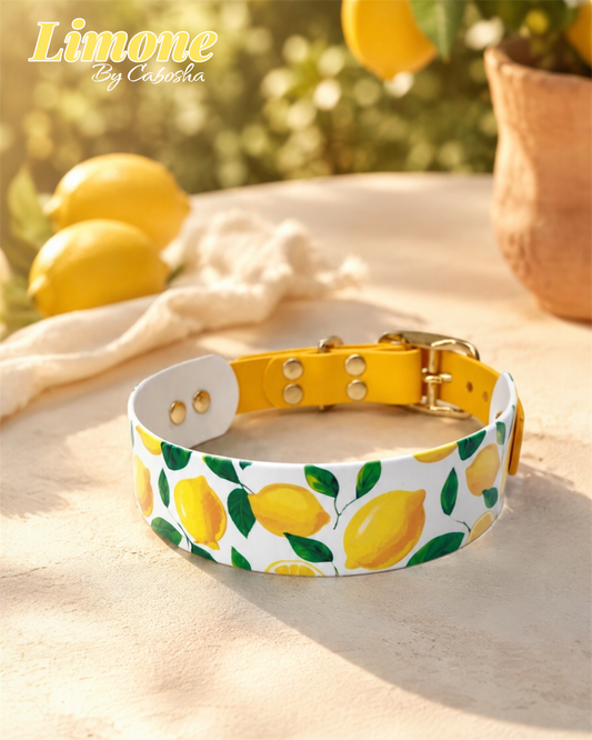 Collier chien Limone 🍋