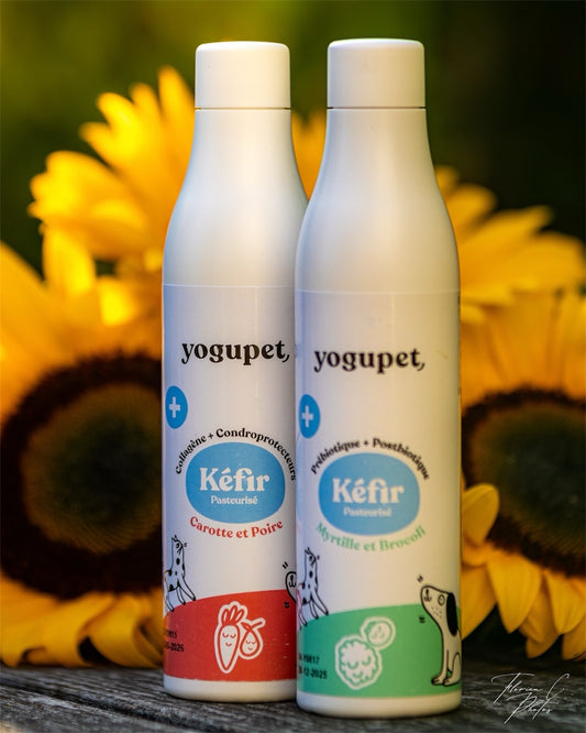 Kéfir YOGUPET