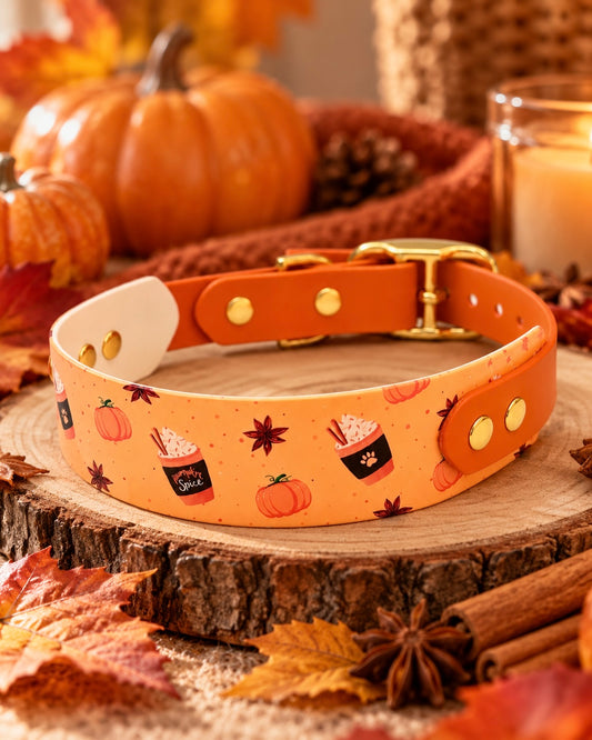 Collier chien Pumpkin