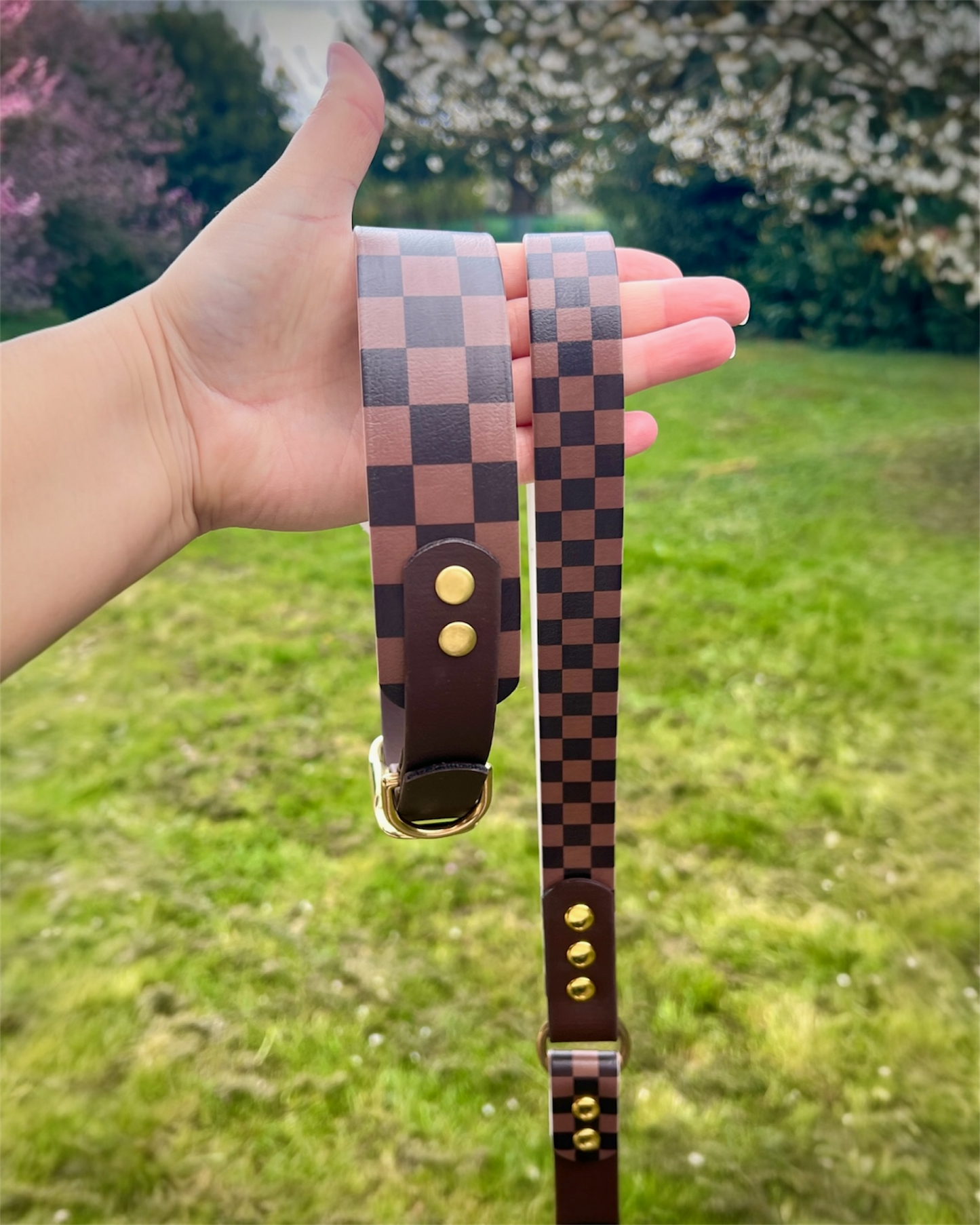 Collier chien Chestnut