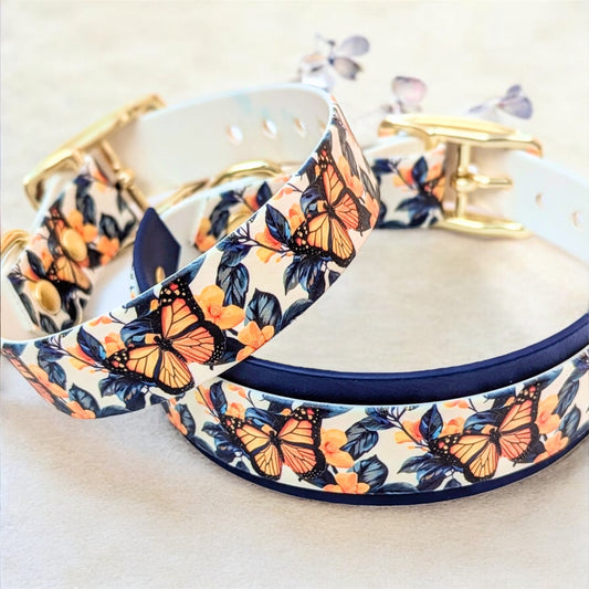 Collier Butterfly 🦋