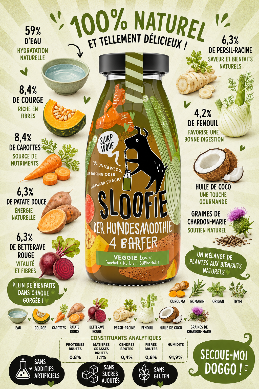Smoothies pour Chiens - Sloofie