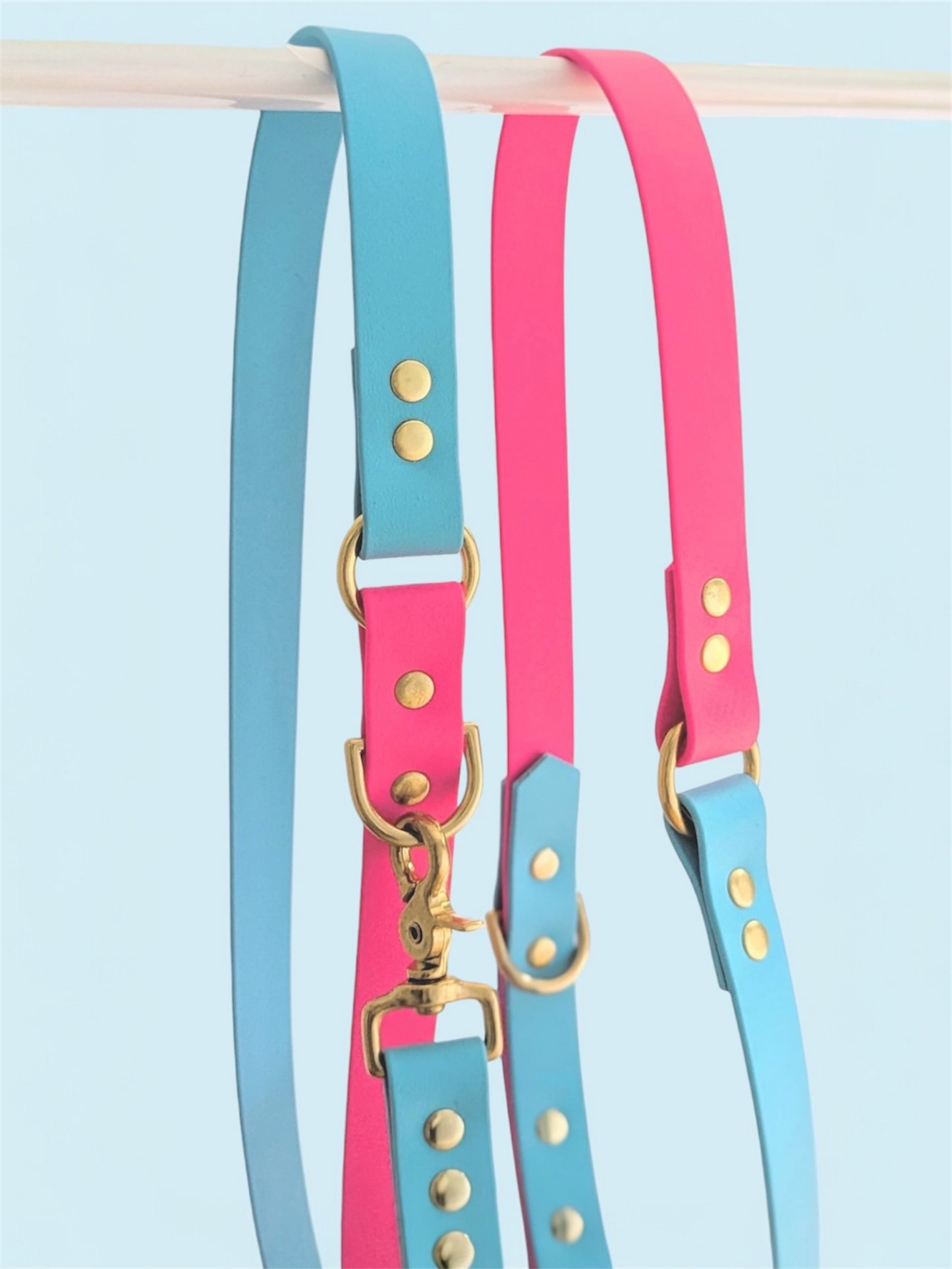 Laisse multi positions