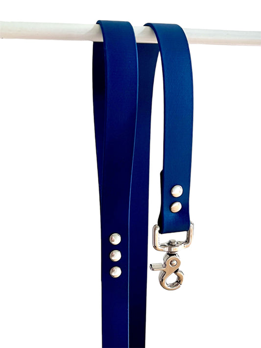 Laisse classique Biothane®