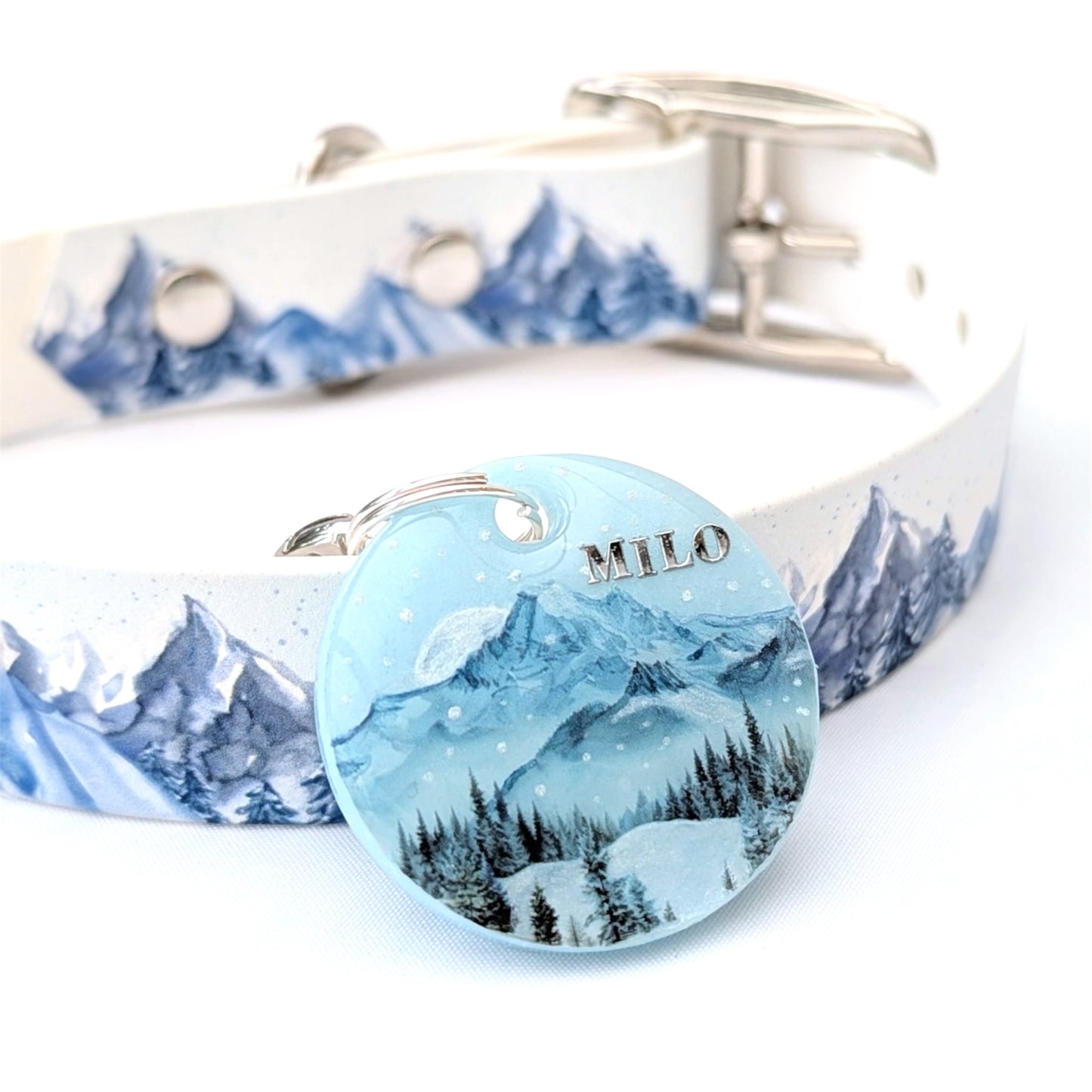 Médaille snow Mountain