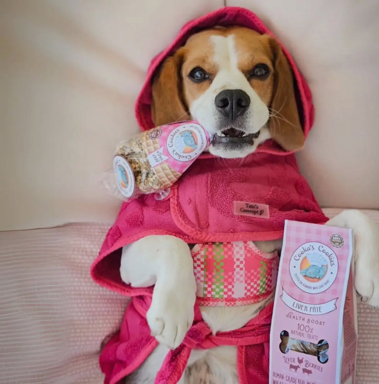 Cooka's Cookies Friandises Naturelles et croustillantes pour chiens - Bœuf