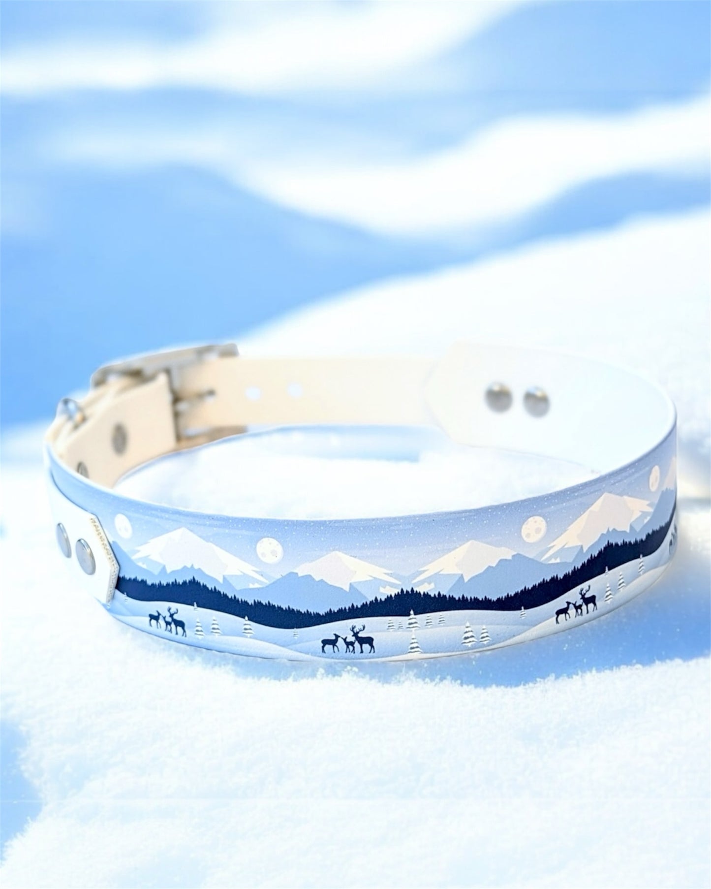 Collier Snow Mountain