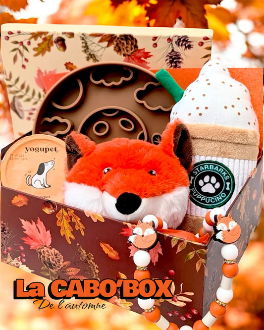 CaboBox de l’automne🍁