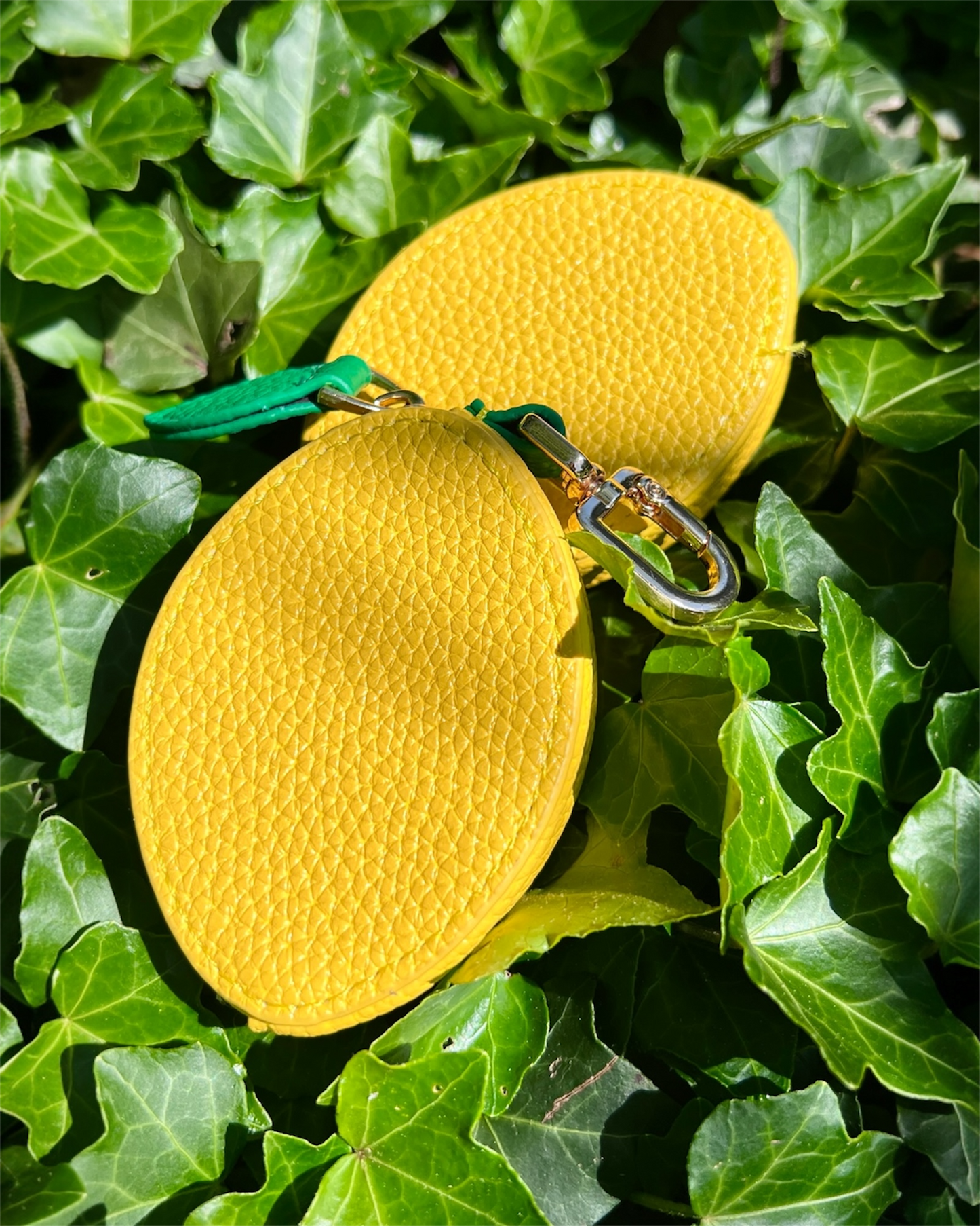 Pochette Citron 🍋