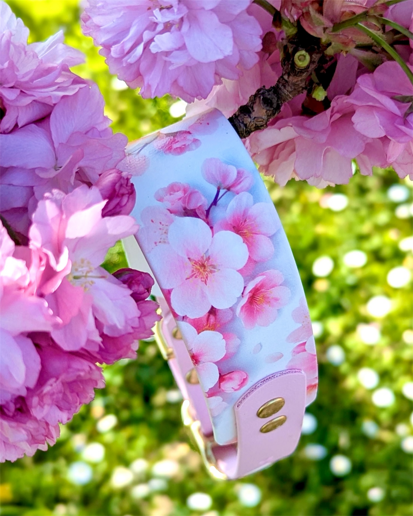 Collier chien Sakura 🌸