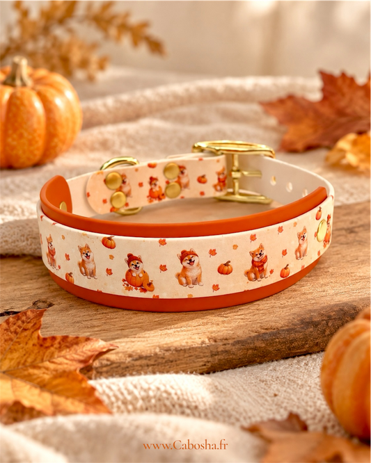 Collier chien Shiba Spice 🎃