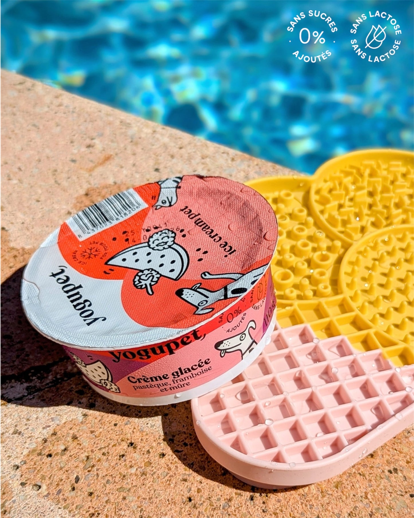 Crème glacée YOGUPET