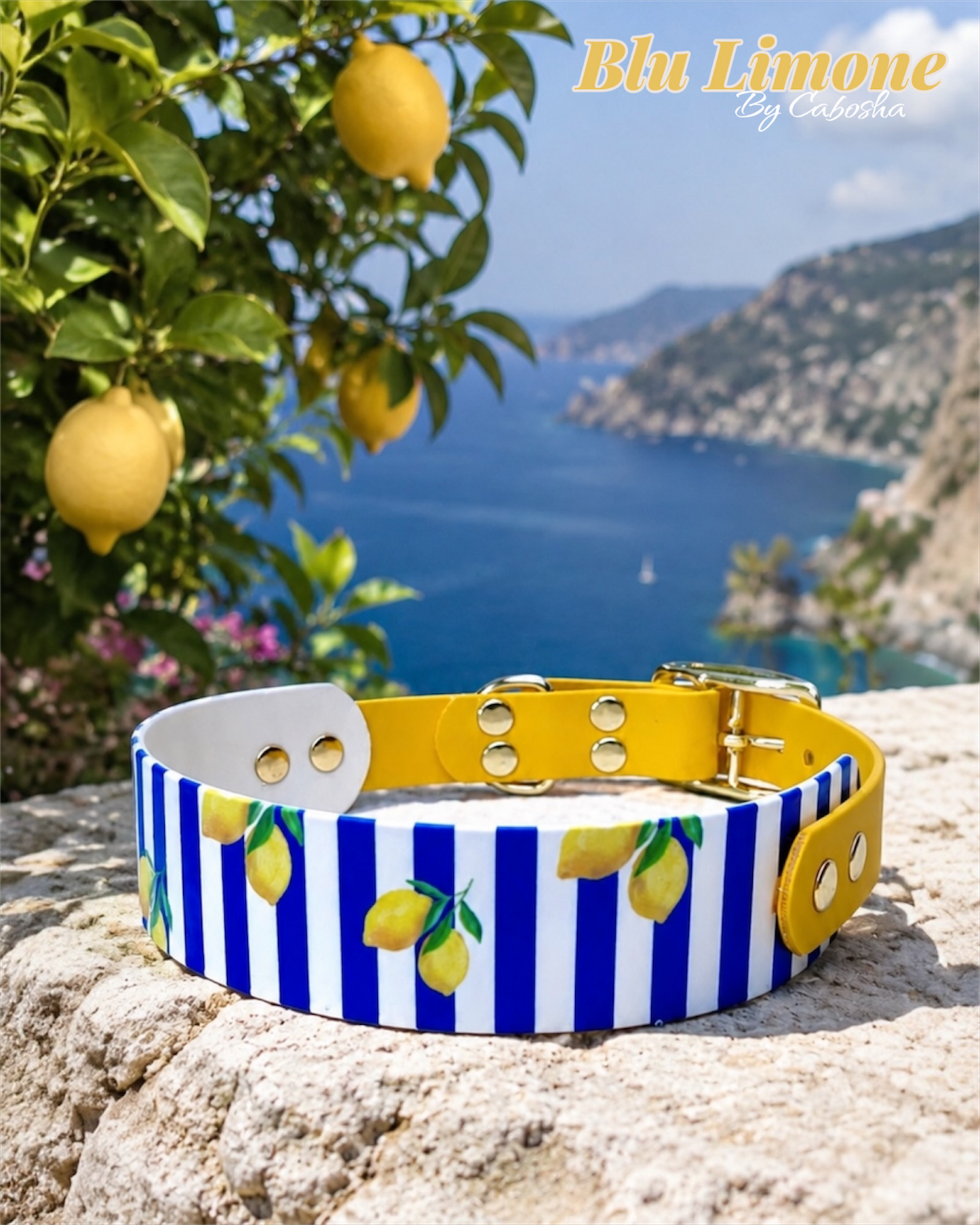 Collier chien Blu Limone 🍋