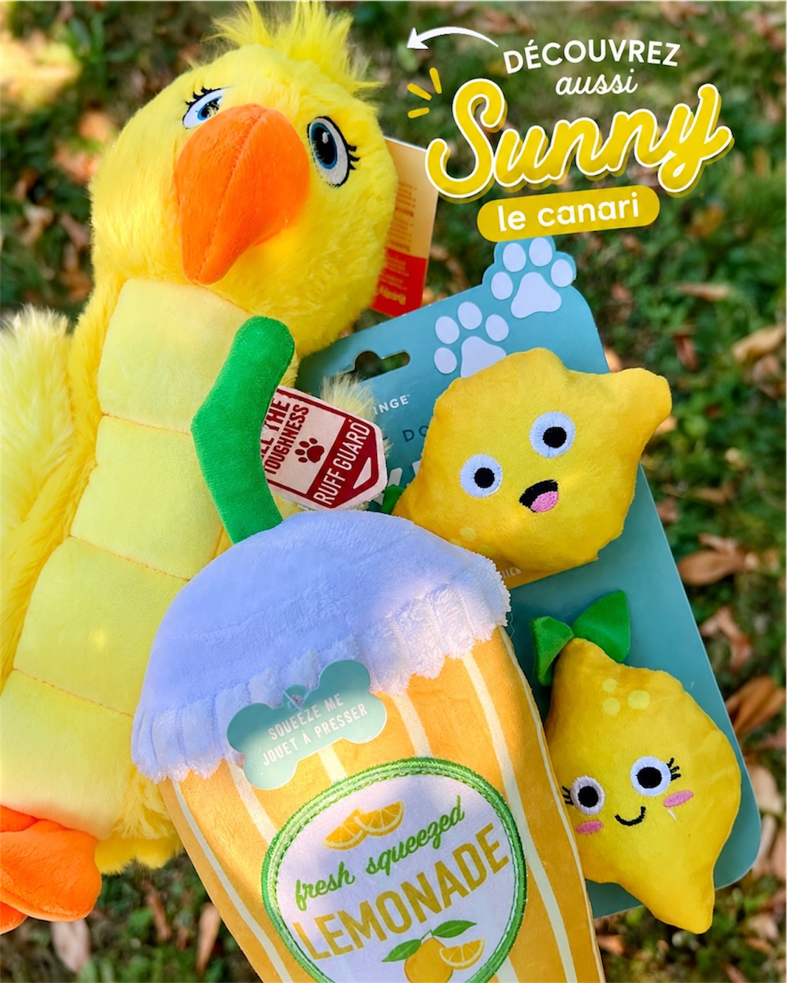 Jouet chien Sunny le Canari
