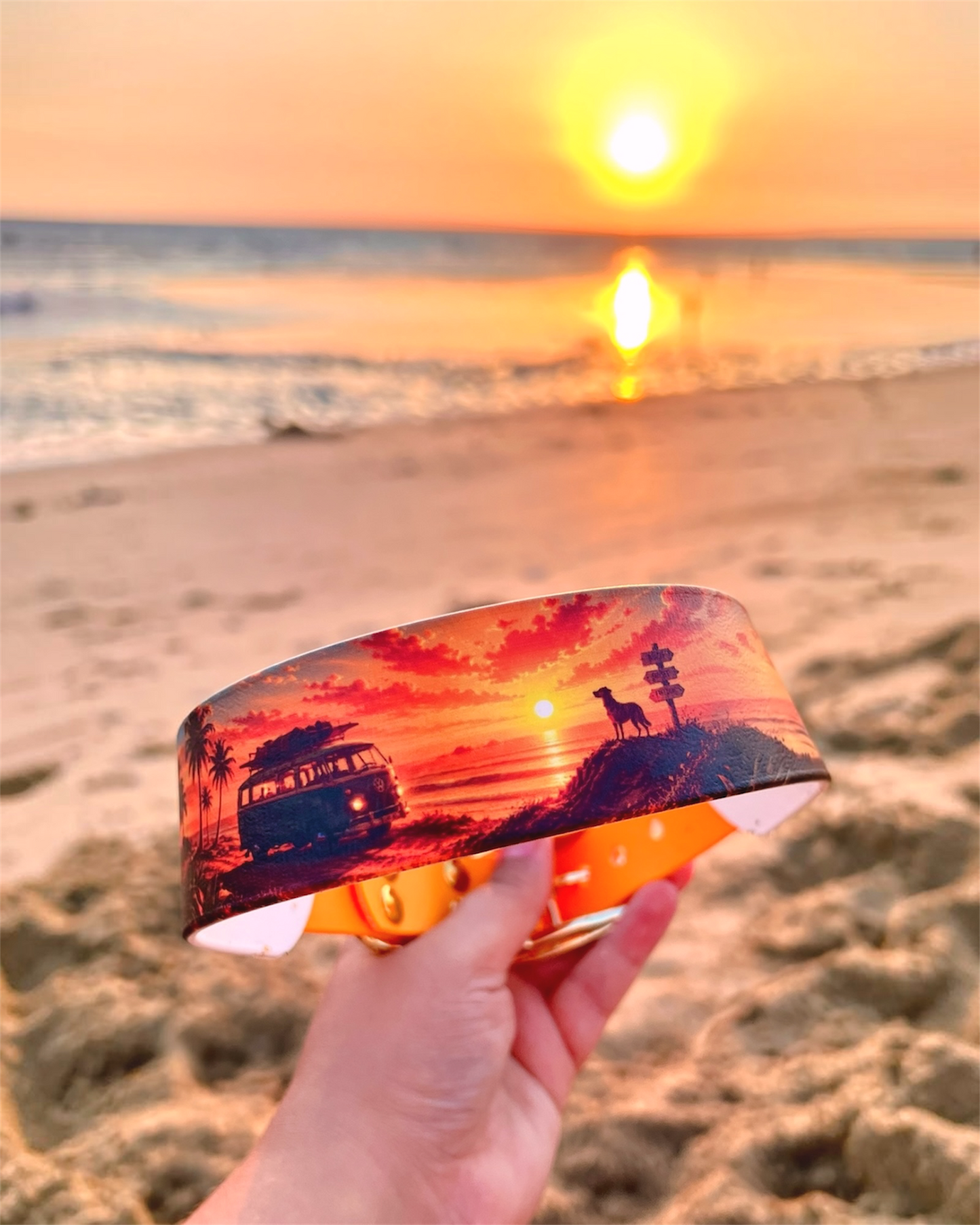 Collier chien Golden Coast 🌅