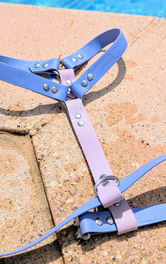 Harnais Duo BioThane®  sur mesure