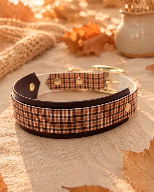 Collier chien Scotty 🍂