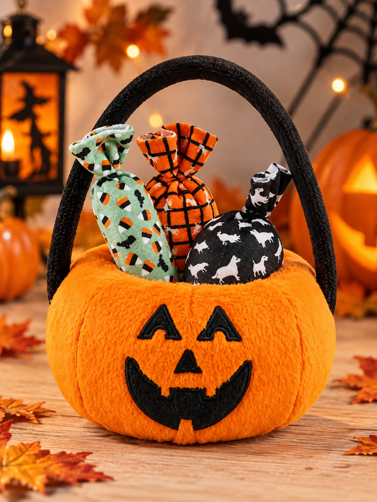 Panier Surprise Halloween pour Chien – P.L.A.Y.
