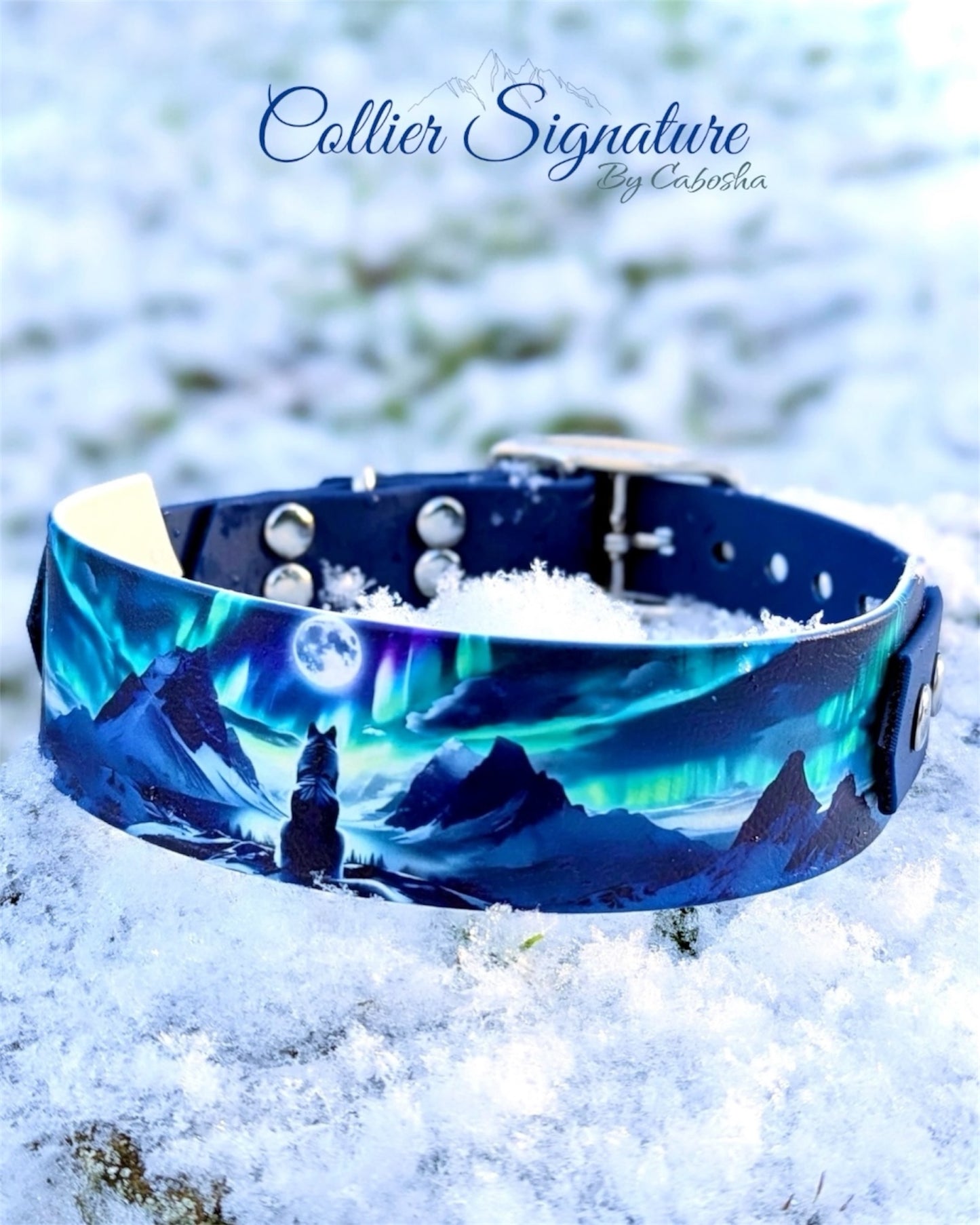 Collier chien Signature