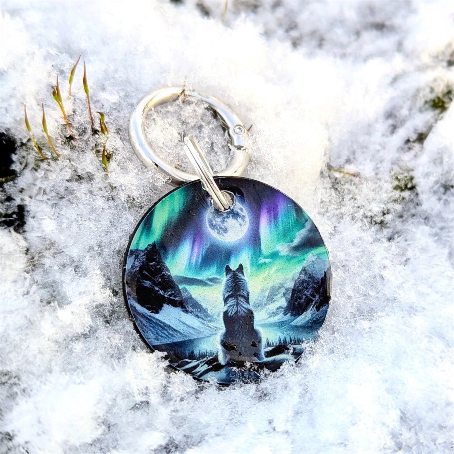 Médaille chien Signature