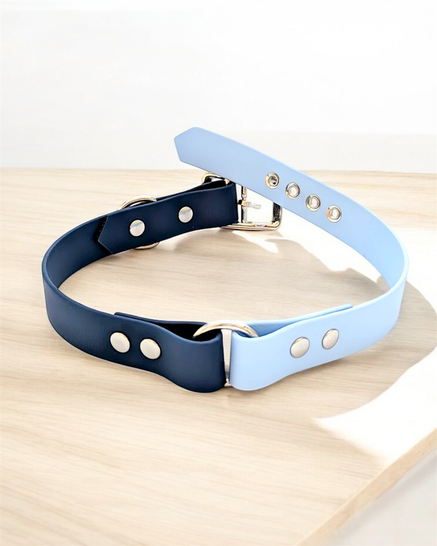 Collier Biothane Duo à boucle ajustable