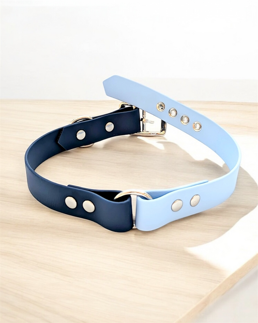 Collier Biothane Duo à boucle ajustable