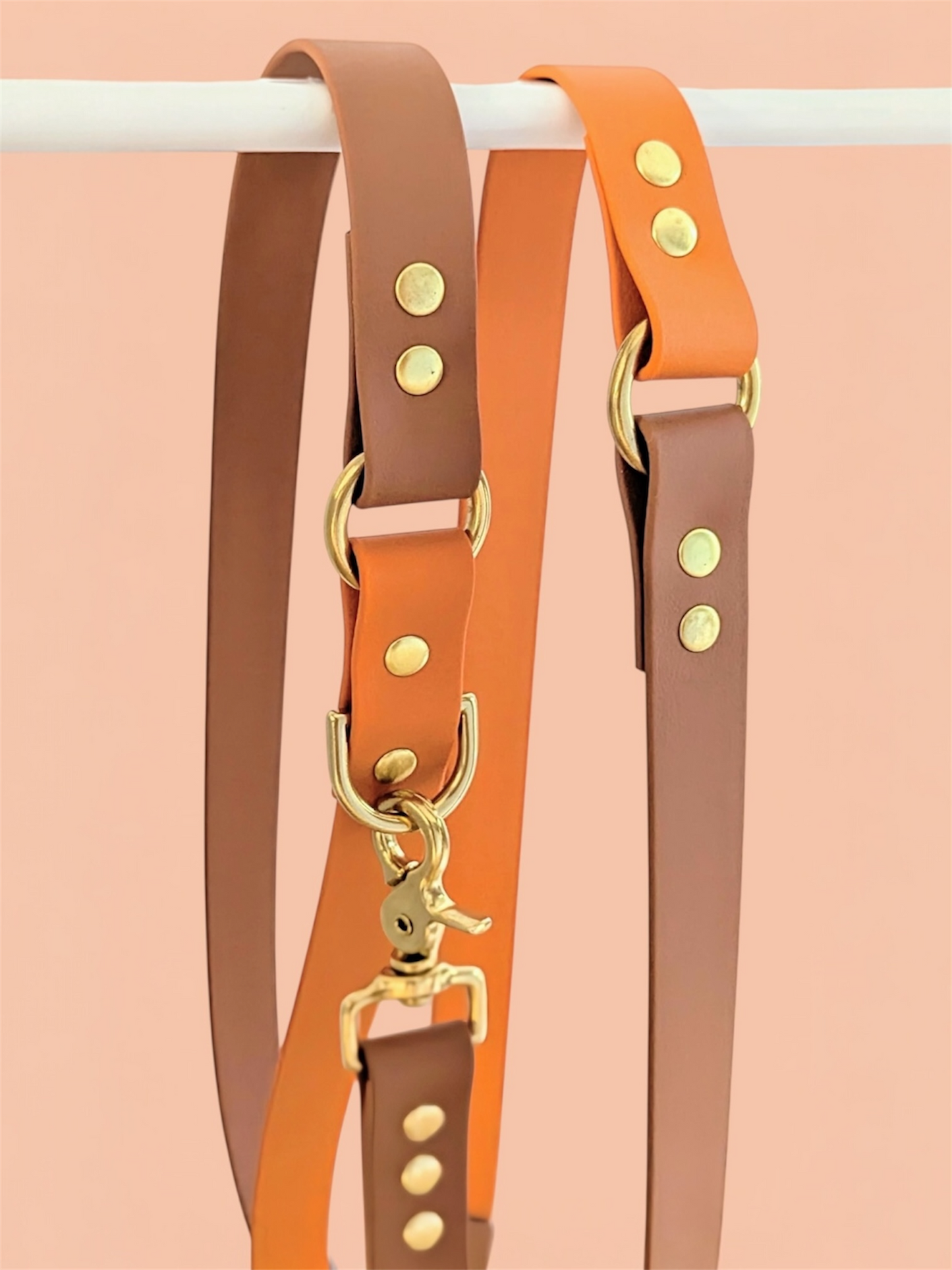 Laisse multi positions