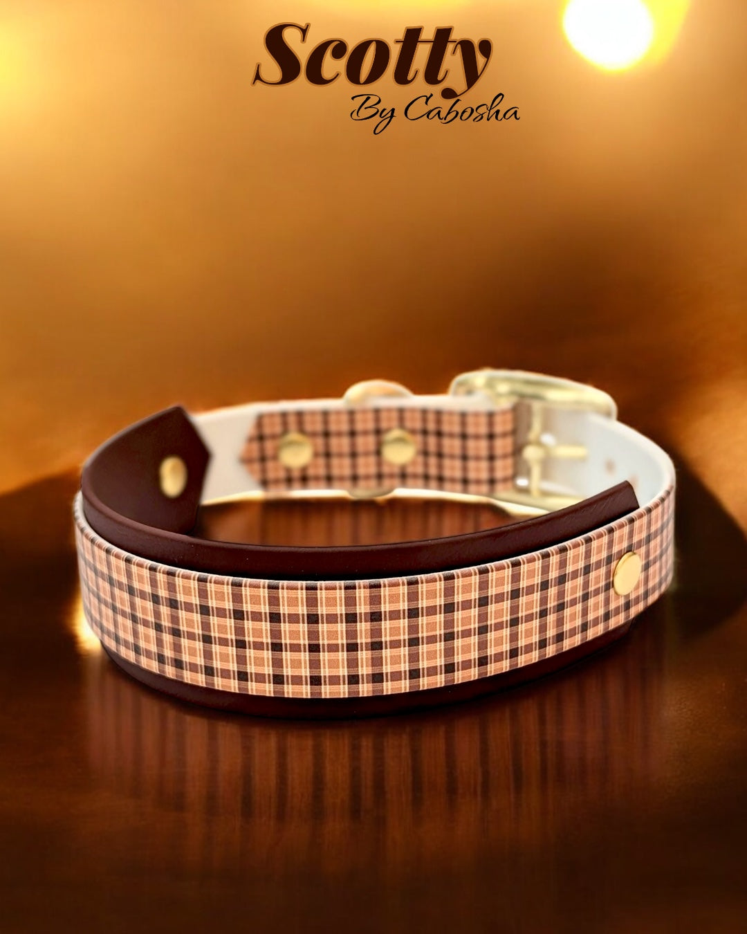 Collier chien Scotty 🍂