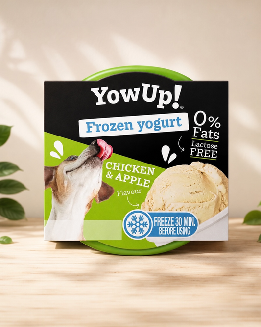 YowUp ! Yaourt glacé pour chiens et chats