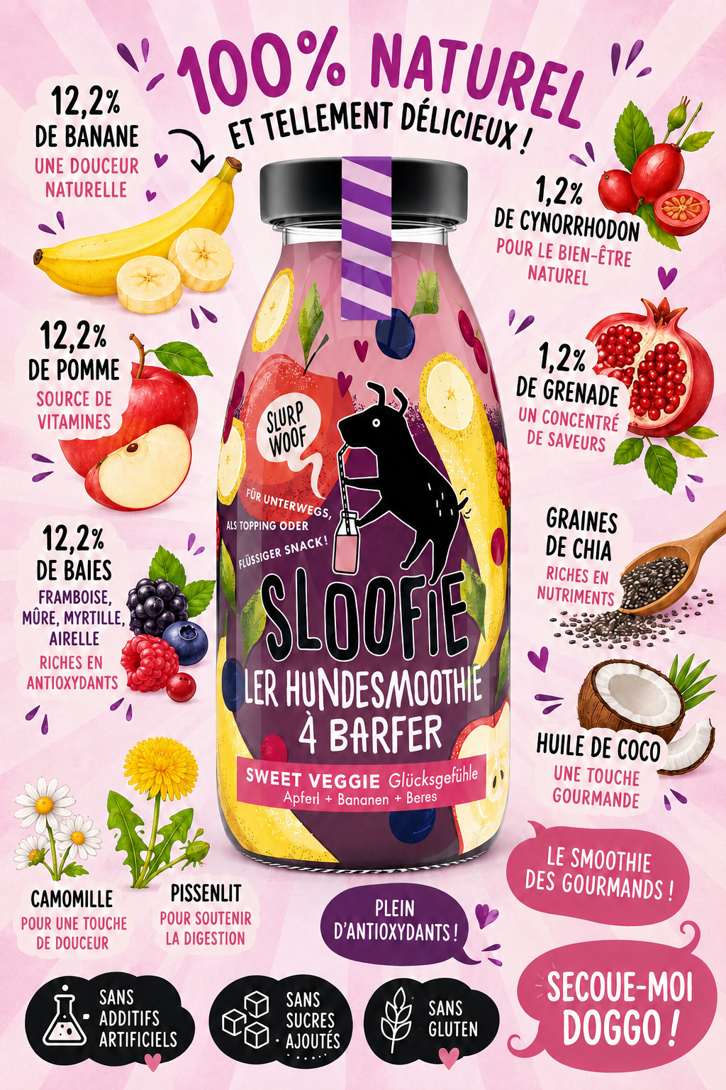 Smoothies pour Chiens - Sloofie