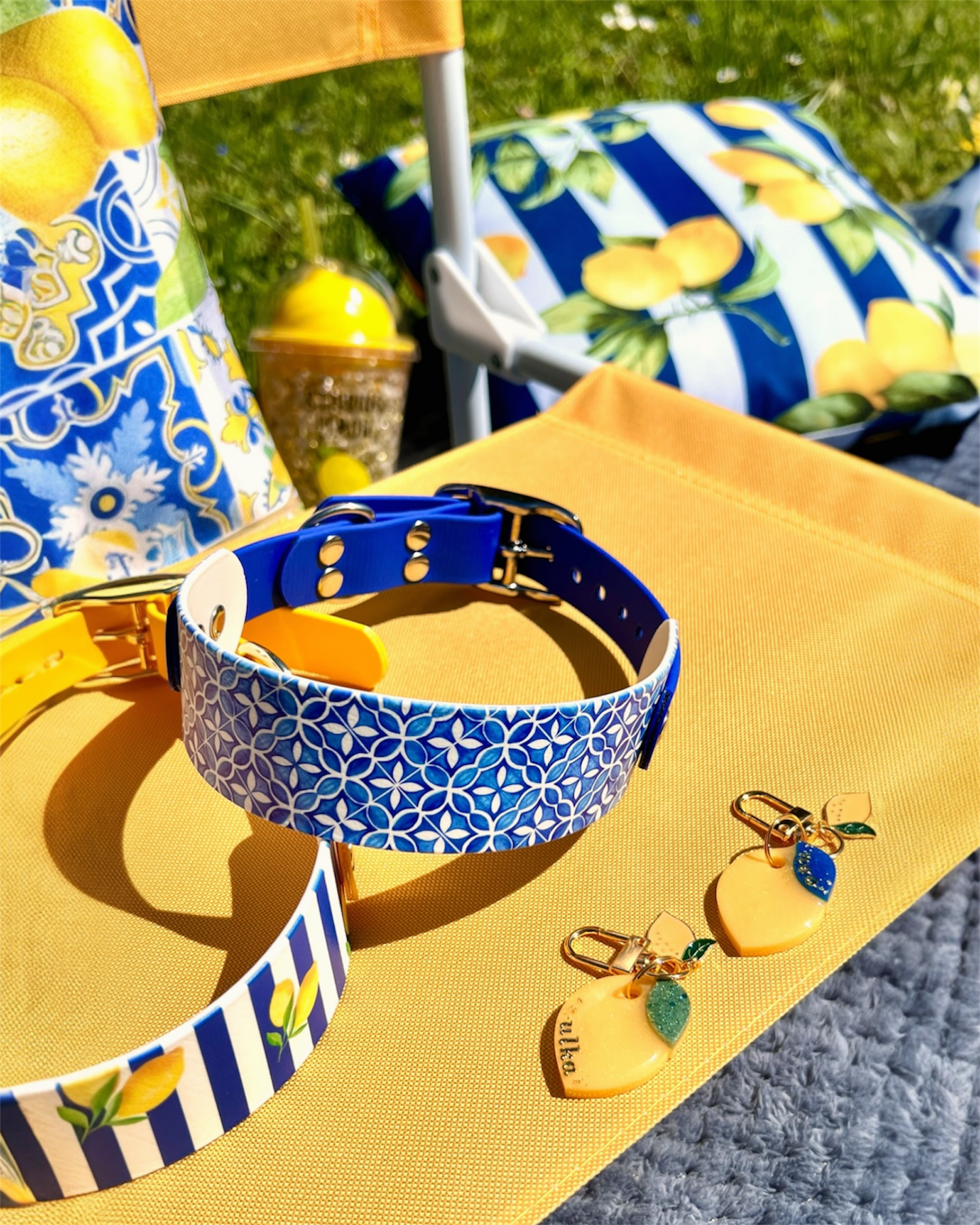 Collier chien Azzurro