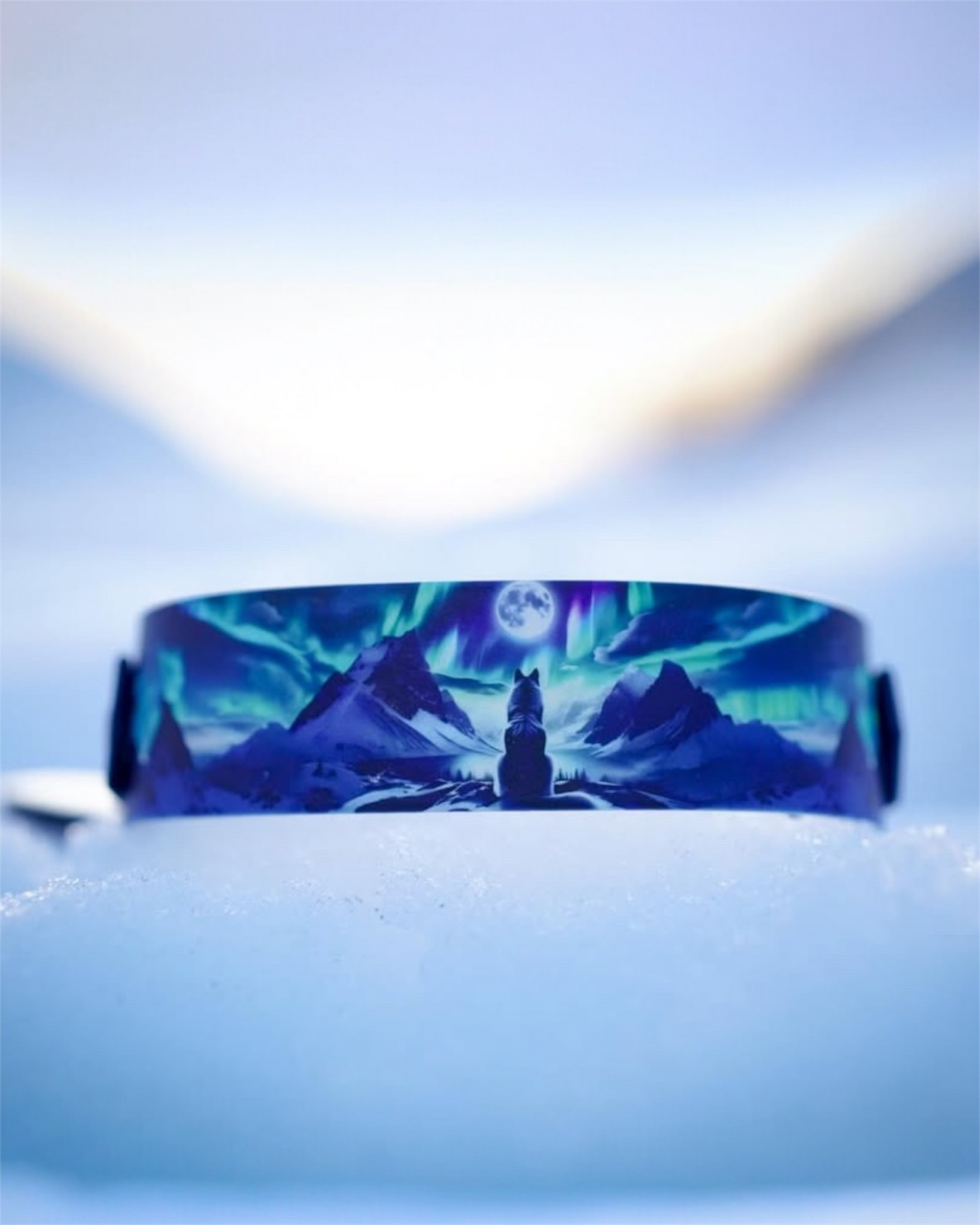 Collier chien Signature