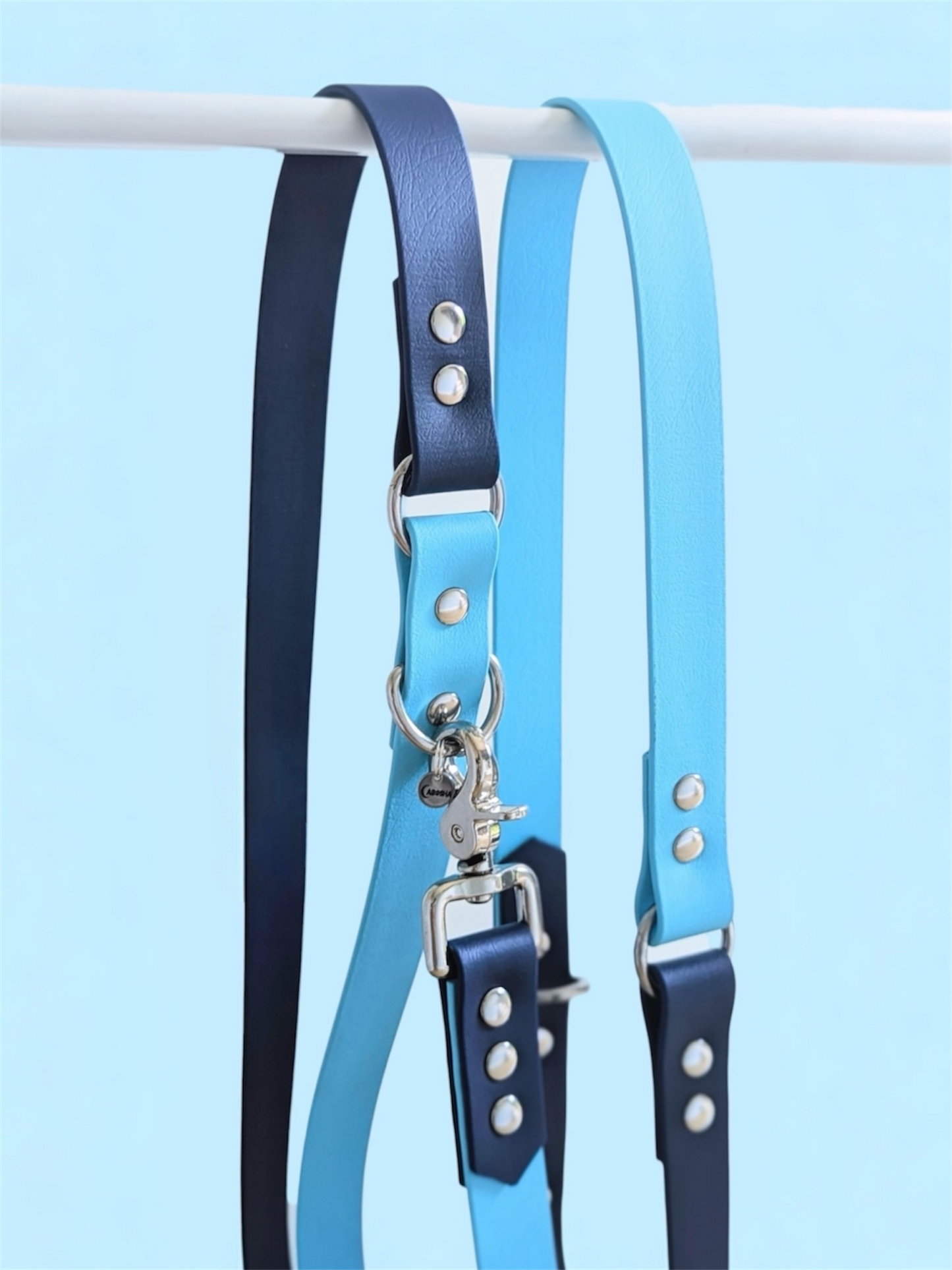 Laisse multi positions