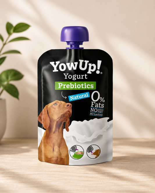 YowUp ! Yaourt naturel pour chiens avec prebiotiques