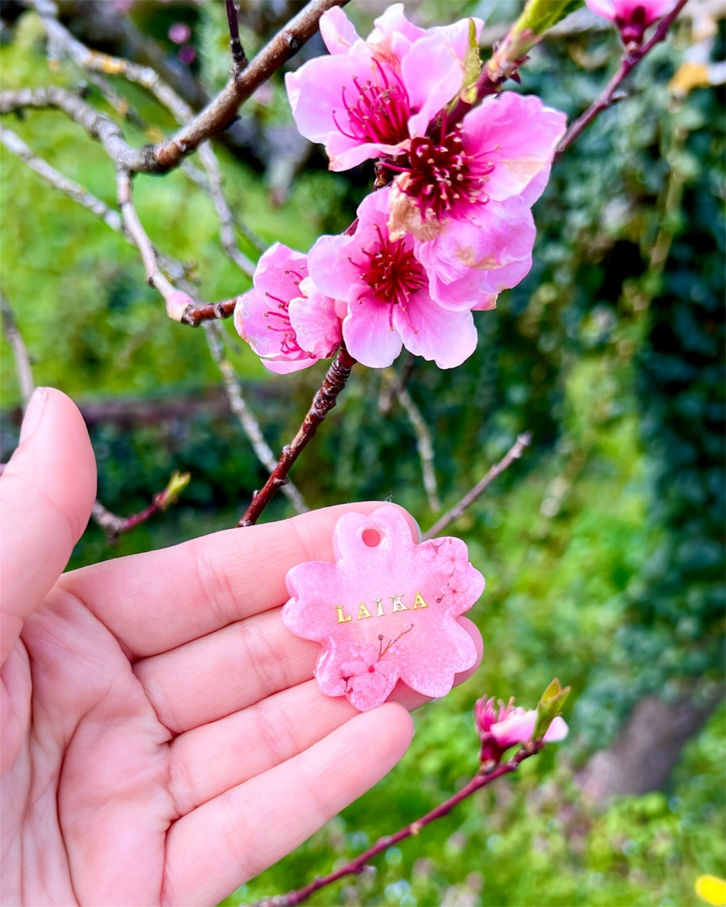 Médaille chien Sakura 🌸