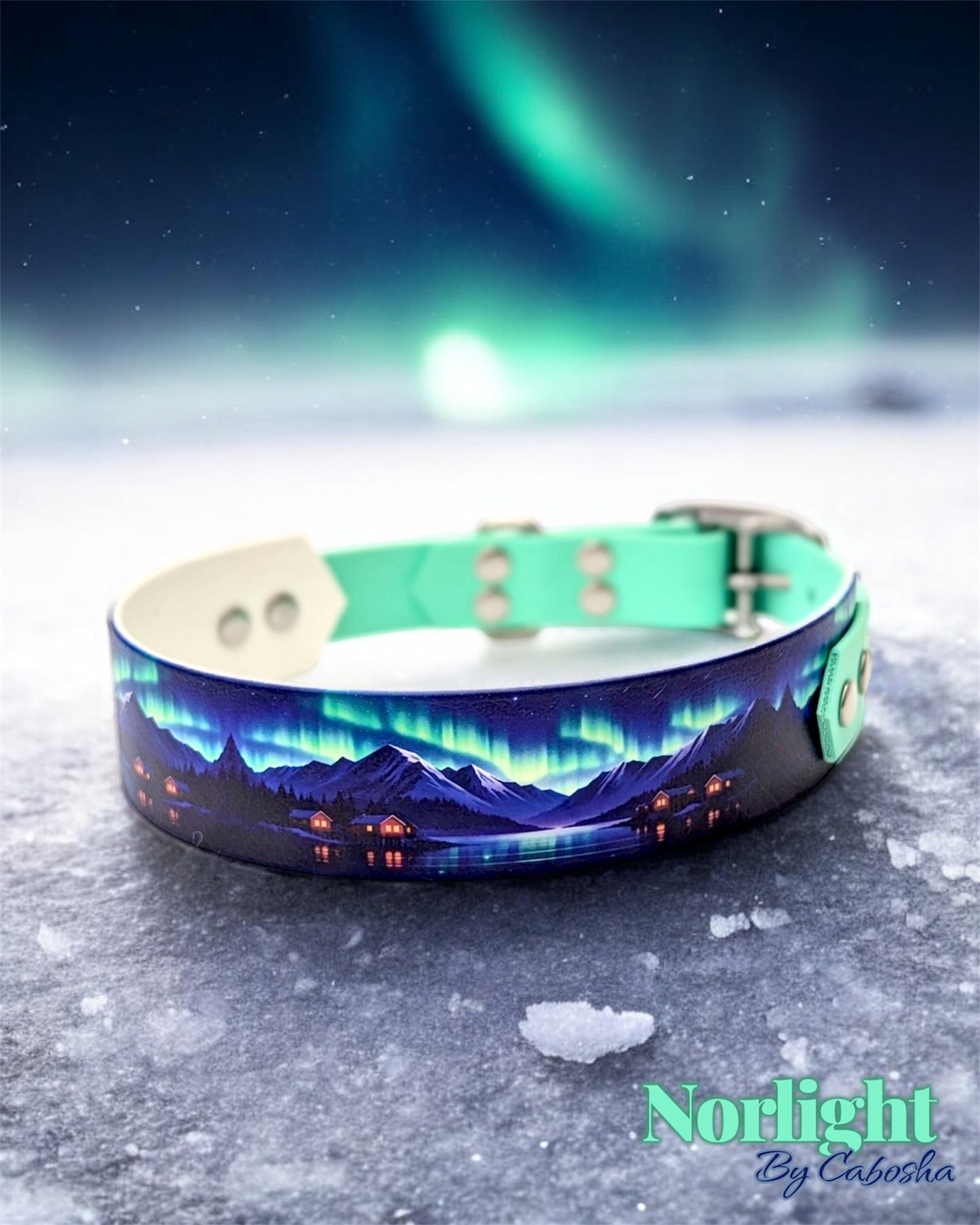 Collier chien NORLIGHT