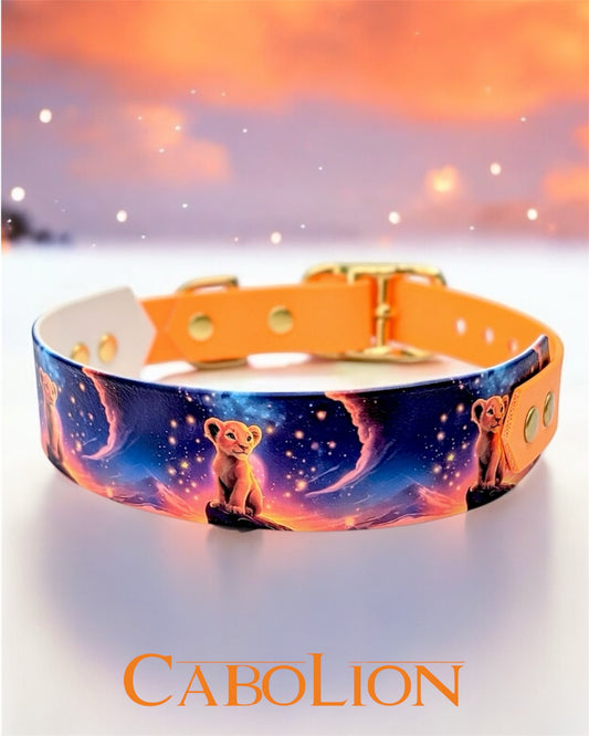 Collier SIMWEO