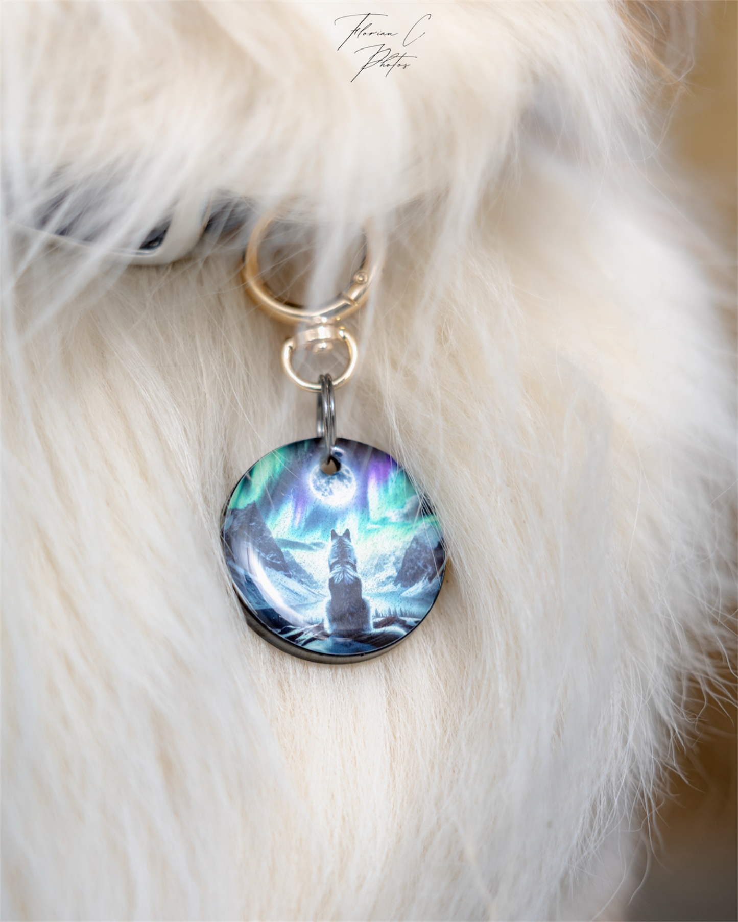 Médaille chien Signature