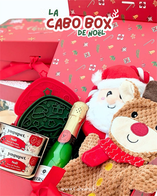 CaboBox de Noël 🎅🏻