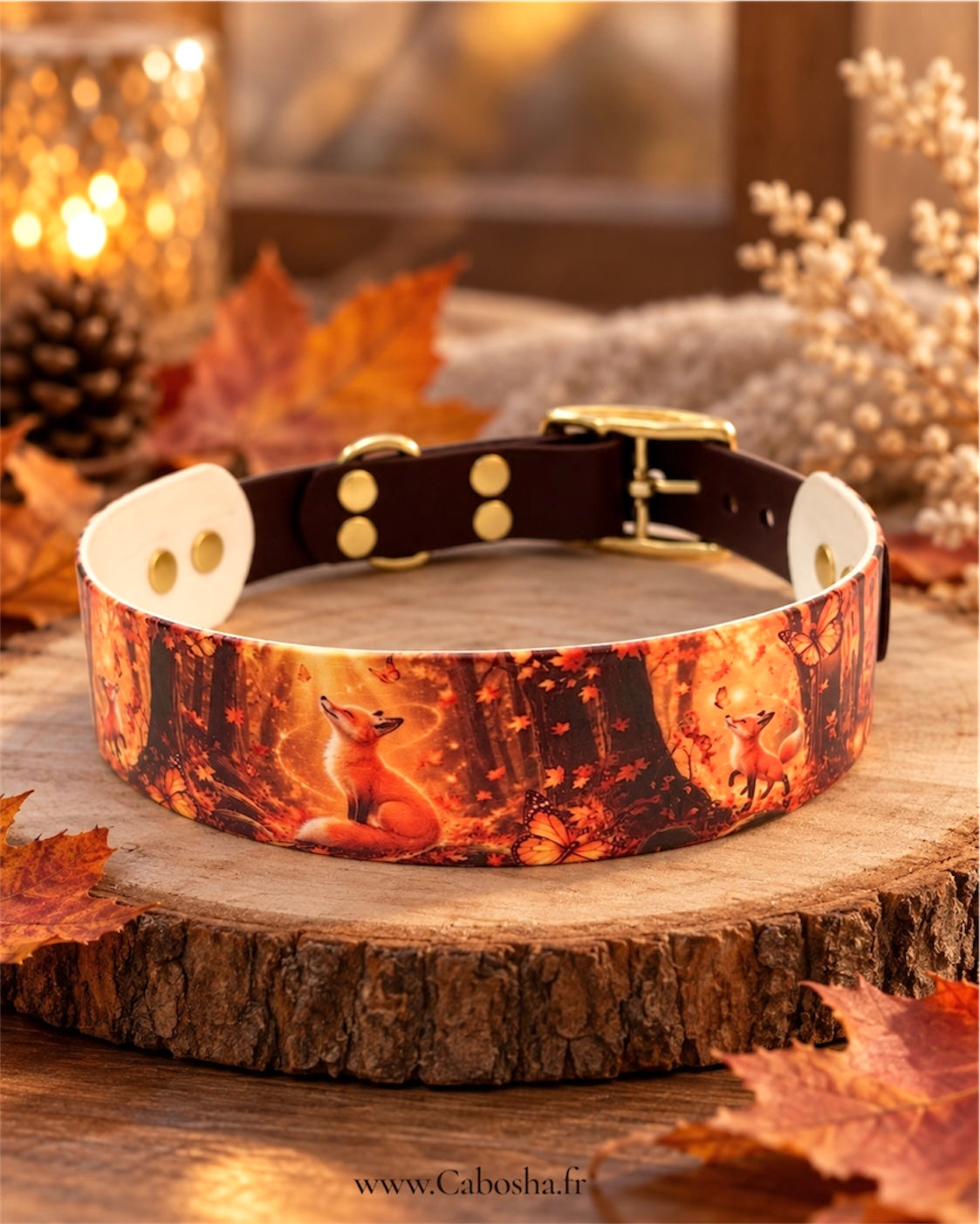 Collier chien Golden Fox 🦊