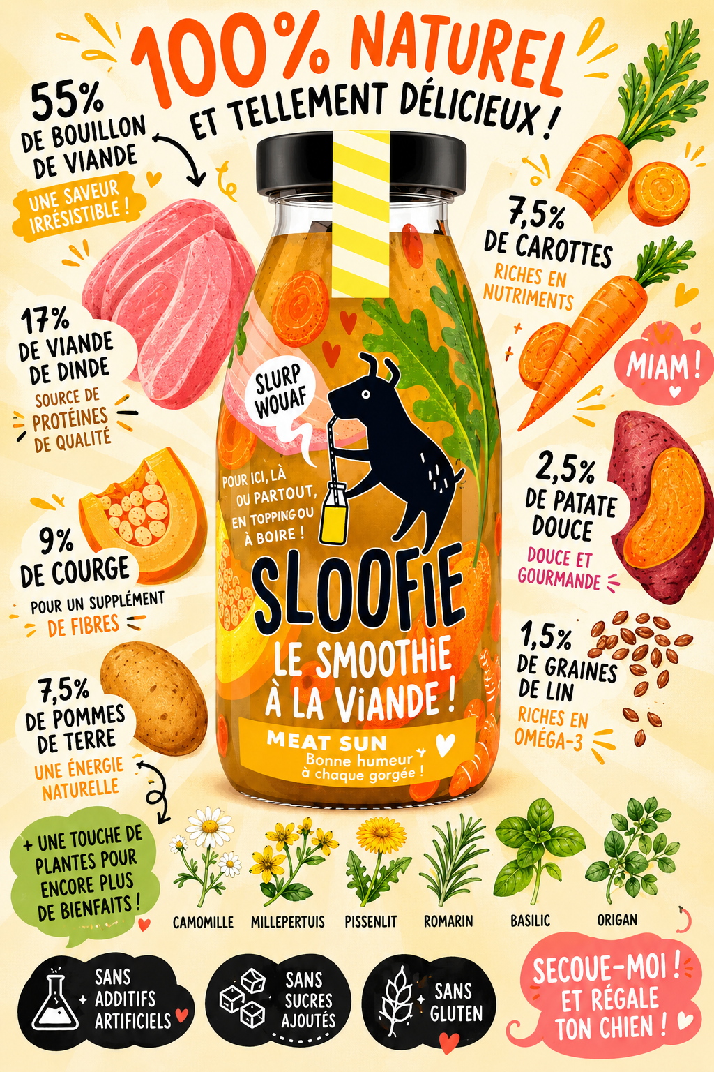 Smoothies pour Chiens - Sloofie