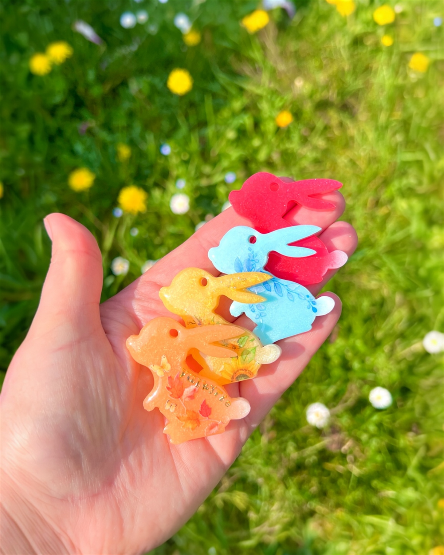 Médailles chien Lapinou 🐇