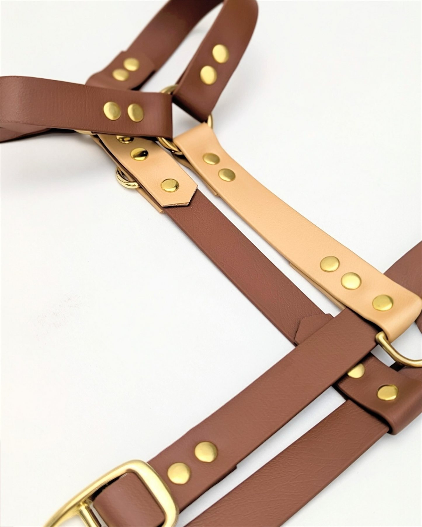 Harnais Duo BioThane®  sur mesure