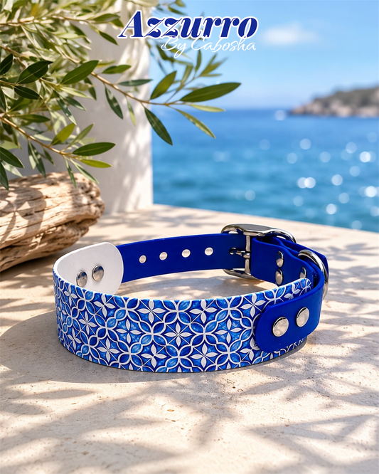 Collier chien Azzurro