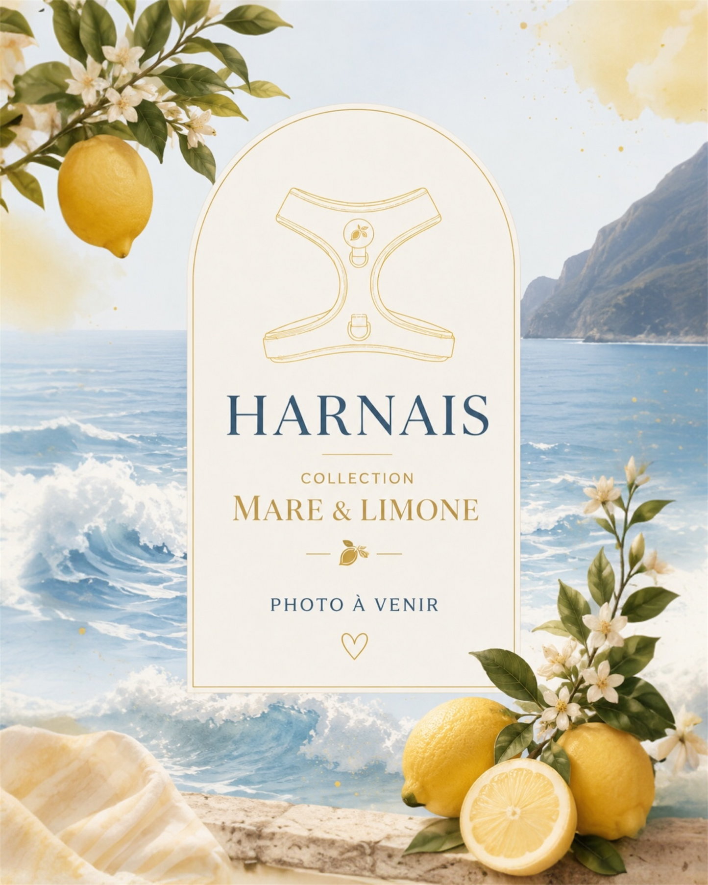 Harnais Duo BioThane®  Mare & Limone