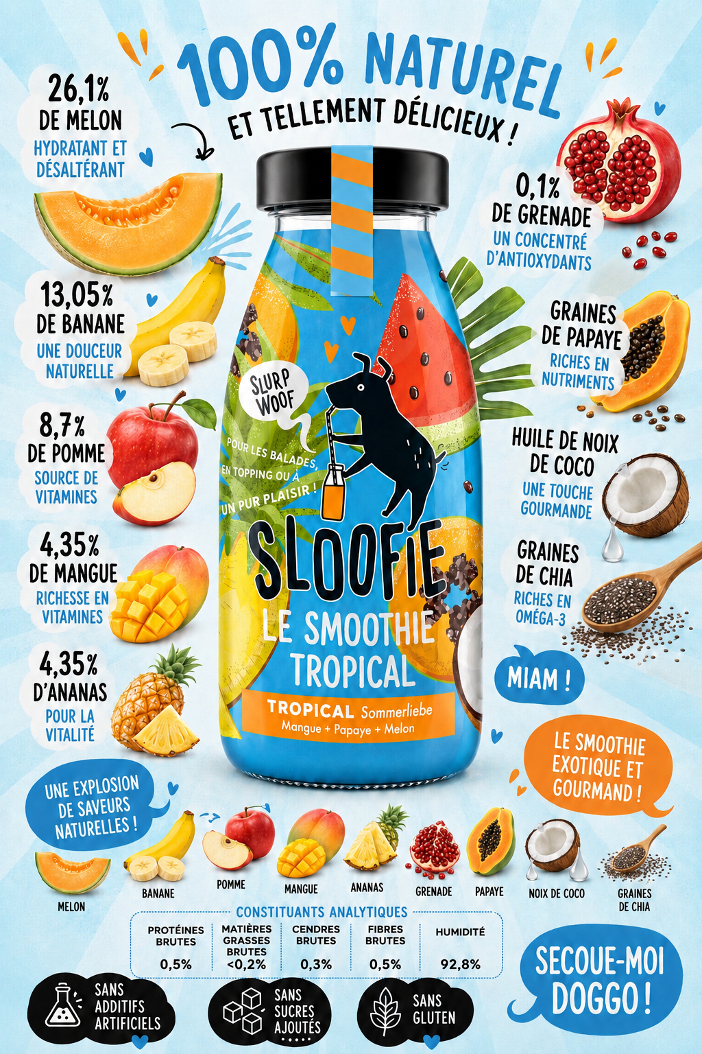 Smoothies pour Chiens - Sloofie