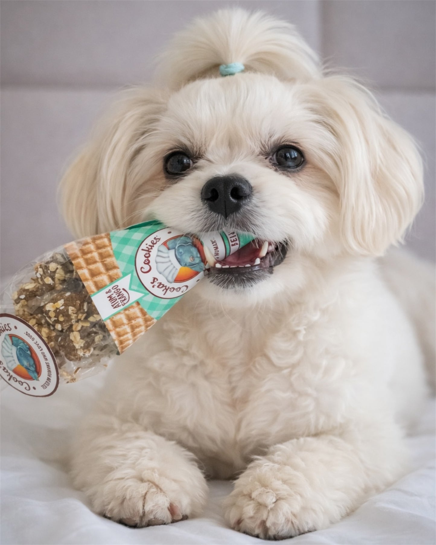 Cooka's Cookies Friandises Naturelles et croustillantes pour chiens - Chicken & Tuna