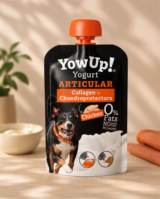 YowUp ! Yaourt naturel pour chiens Articulaire